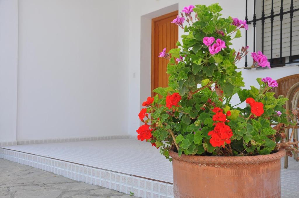 Twin Room Terrace,994630006:JPEG