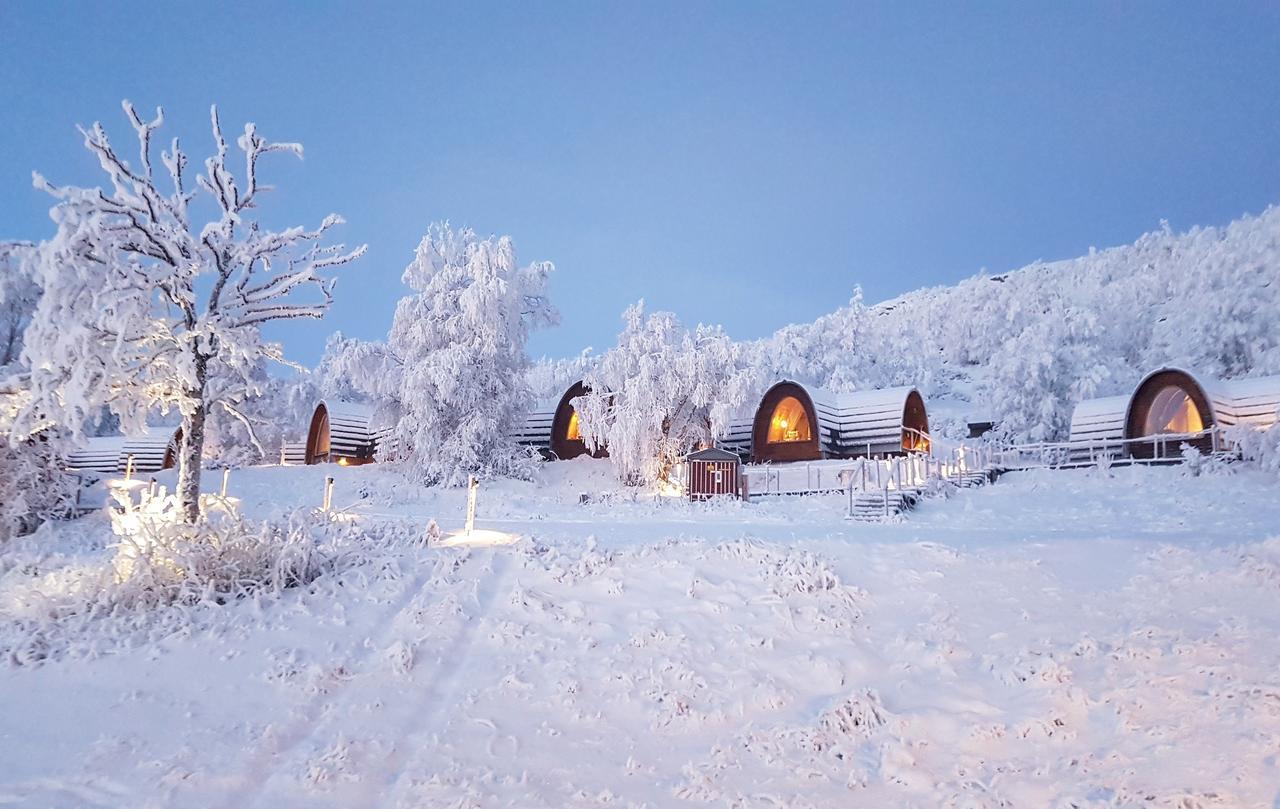 Cabin
