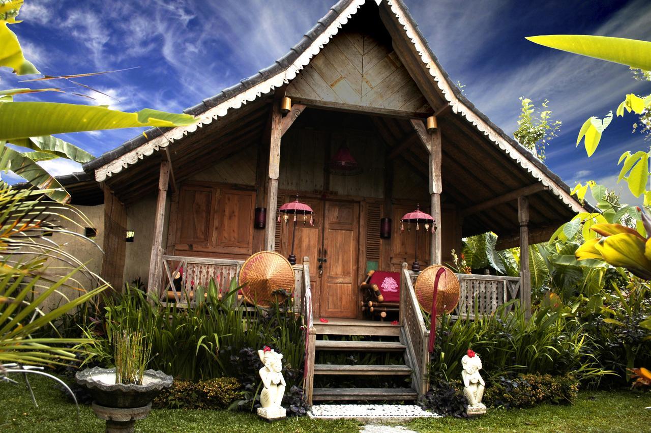 Deluxe Bungalow met Airconditioning