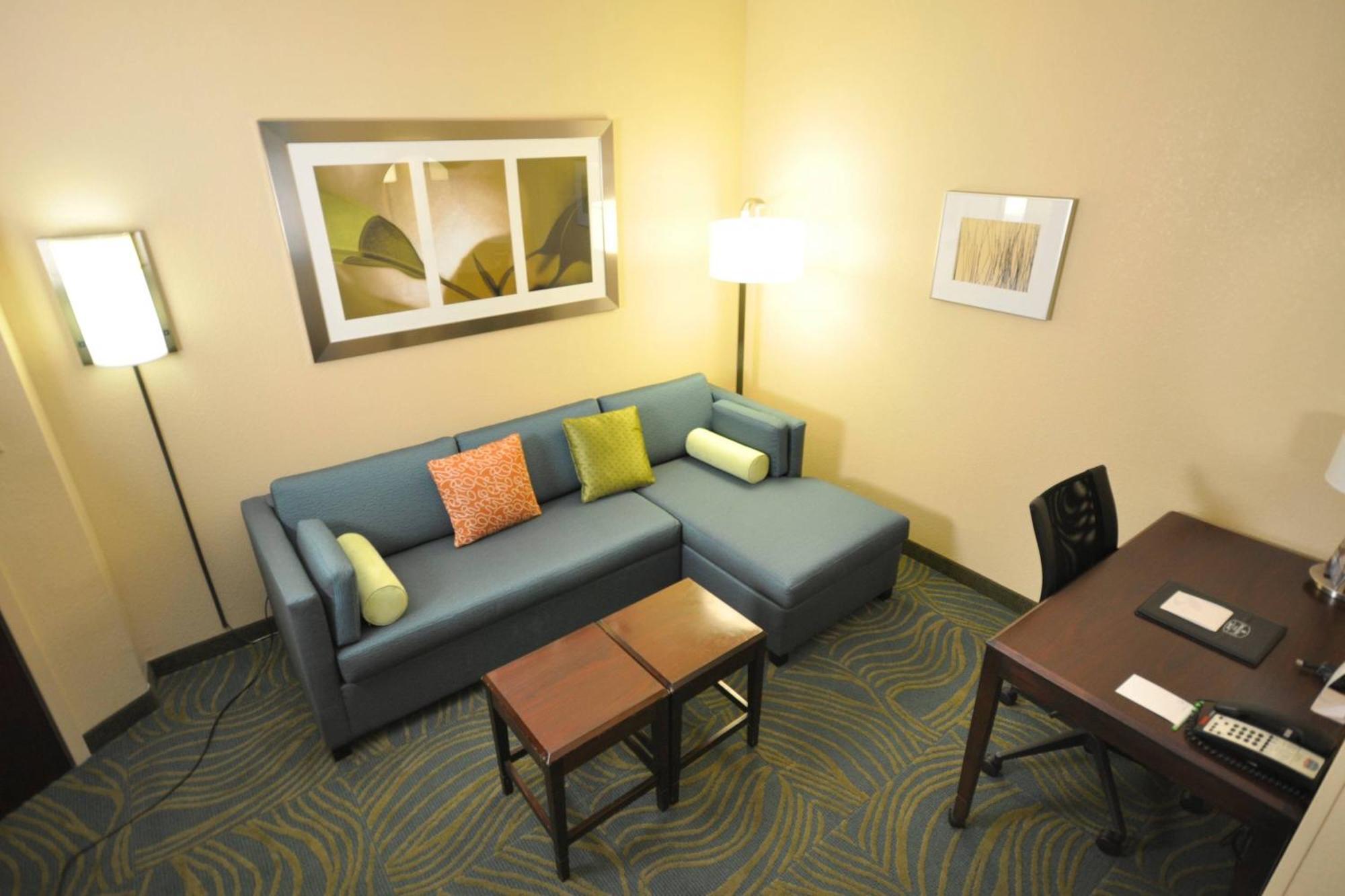 Studio 1 King Sofa bed Moody Gardens view Bay view,1634415648:JPEG