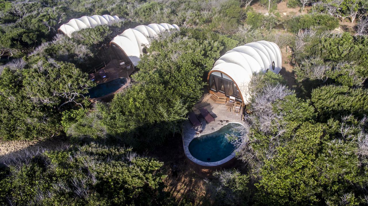 Poolsuite Cocoon mit 1 kostenlosen Pirschfahrt