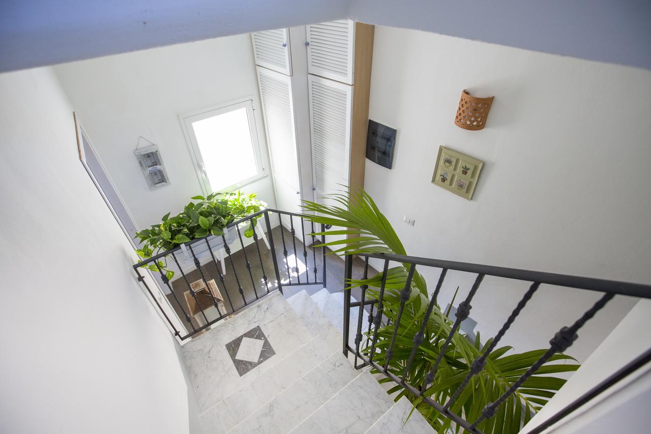 Apartment Terrace