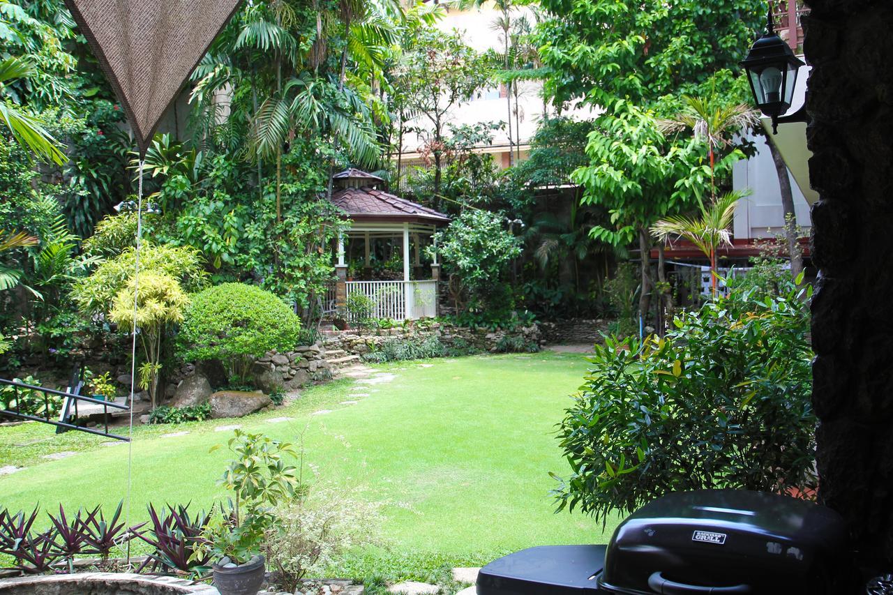 Studio Garden View