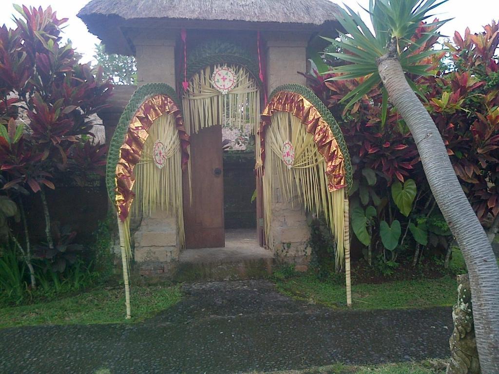Deluxe One-Bedroom Villa