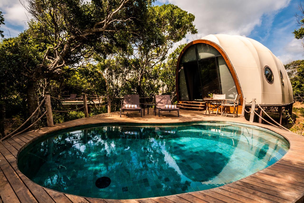 Cocoon Pool Suite One Game Drive
