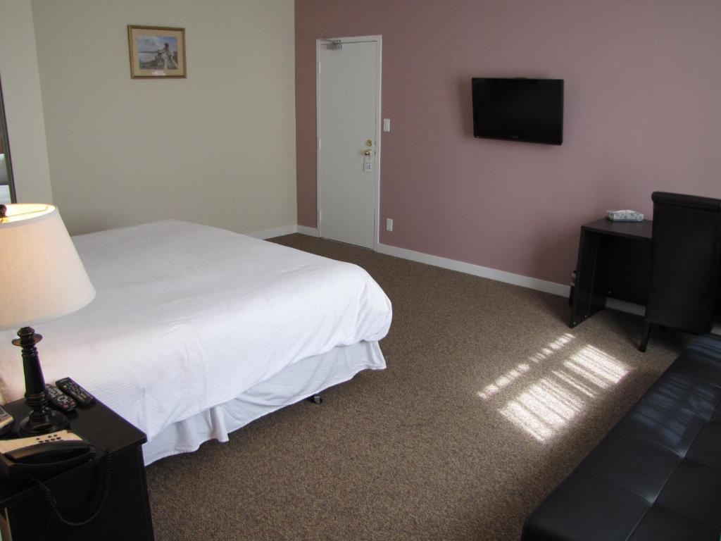 Suite mit 1 Schlafzimmer und Schlafsofa