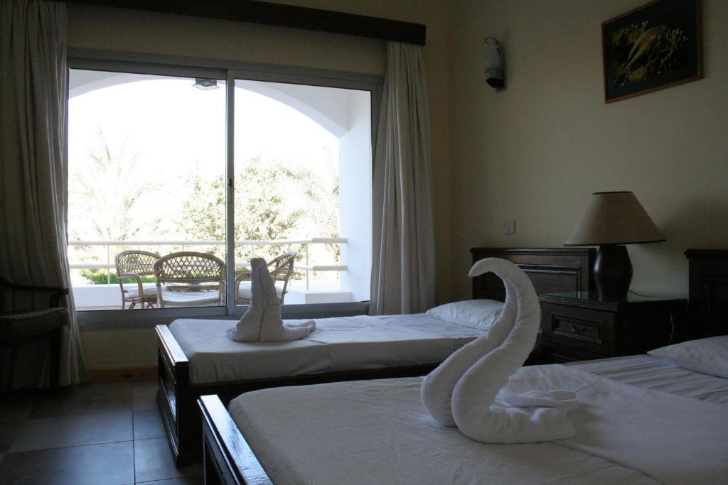 Triple Room,155416796:JPEG