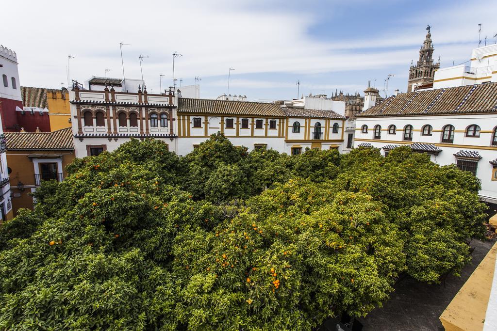 Junior Suite Terrace