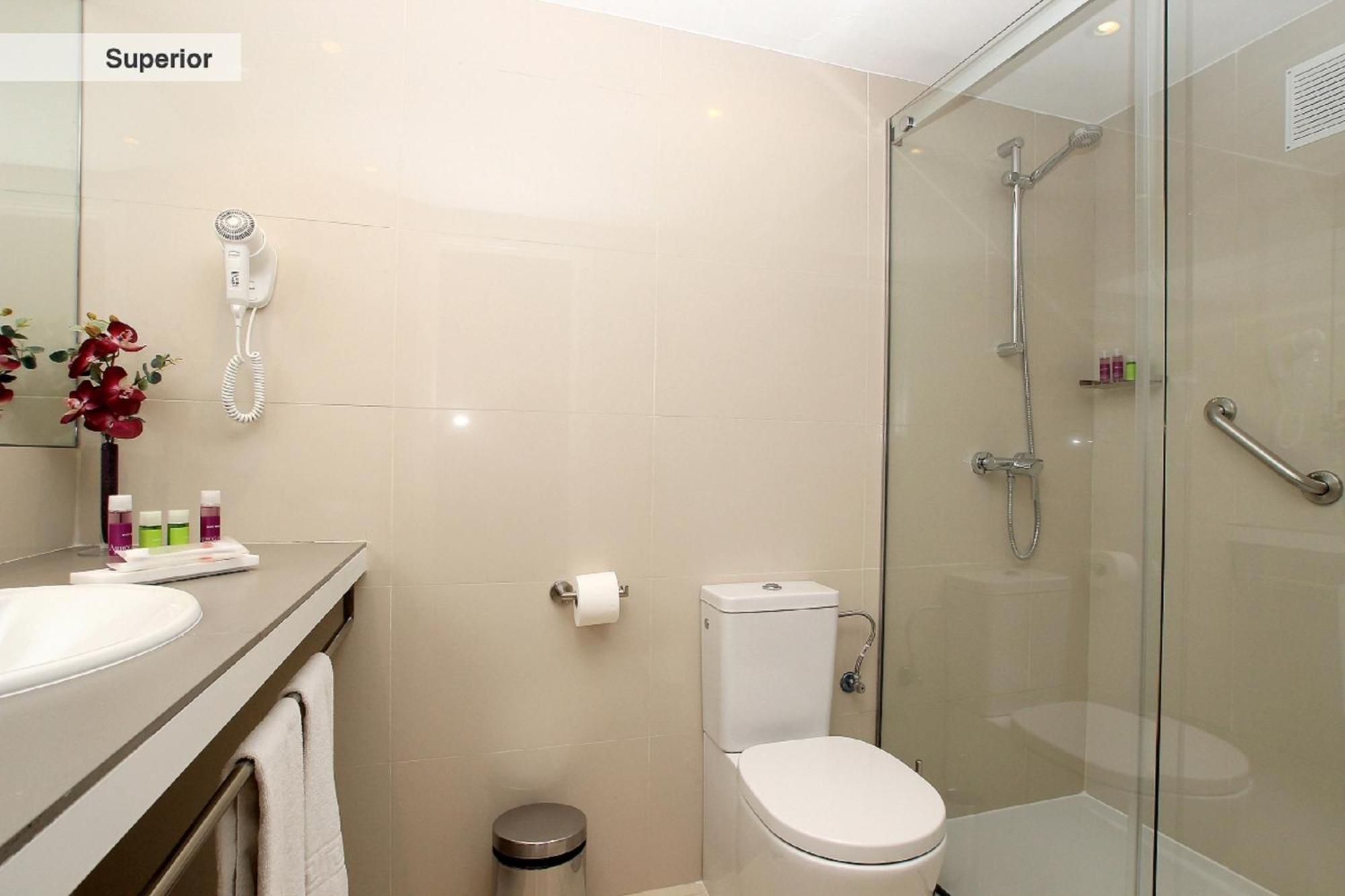 Studio Supérieur (2 adultes + 1 enfant)