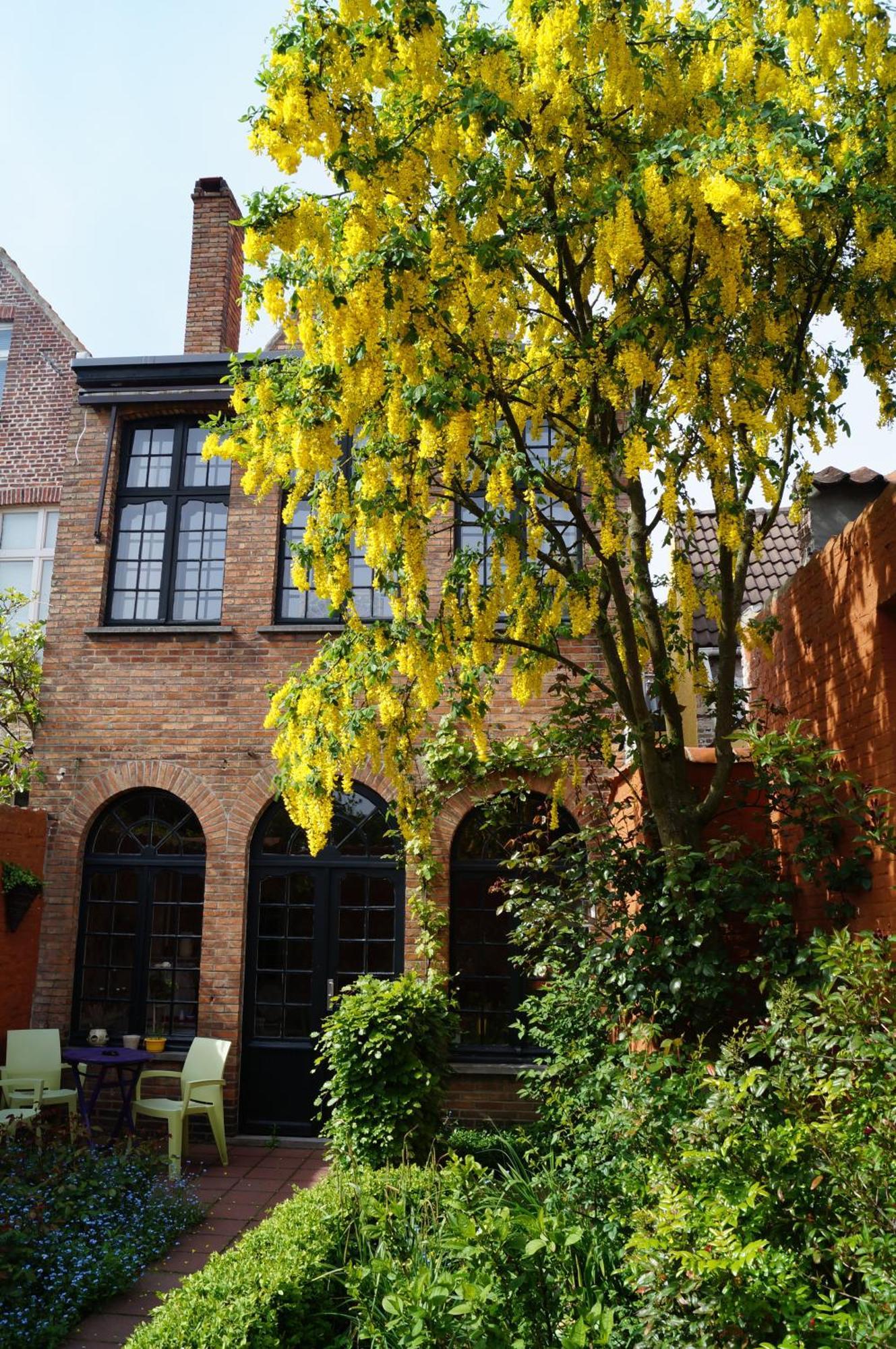 Suite Garden View
