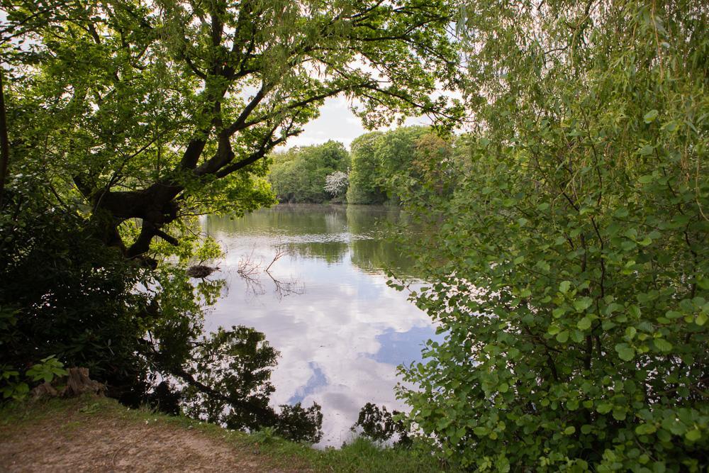 Lakeside Double Room