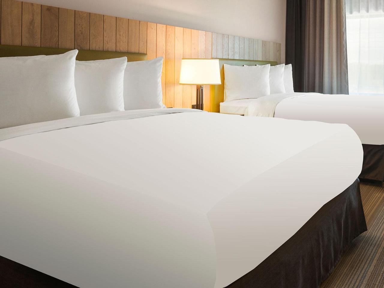 Queen Room Two Queen Beds
