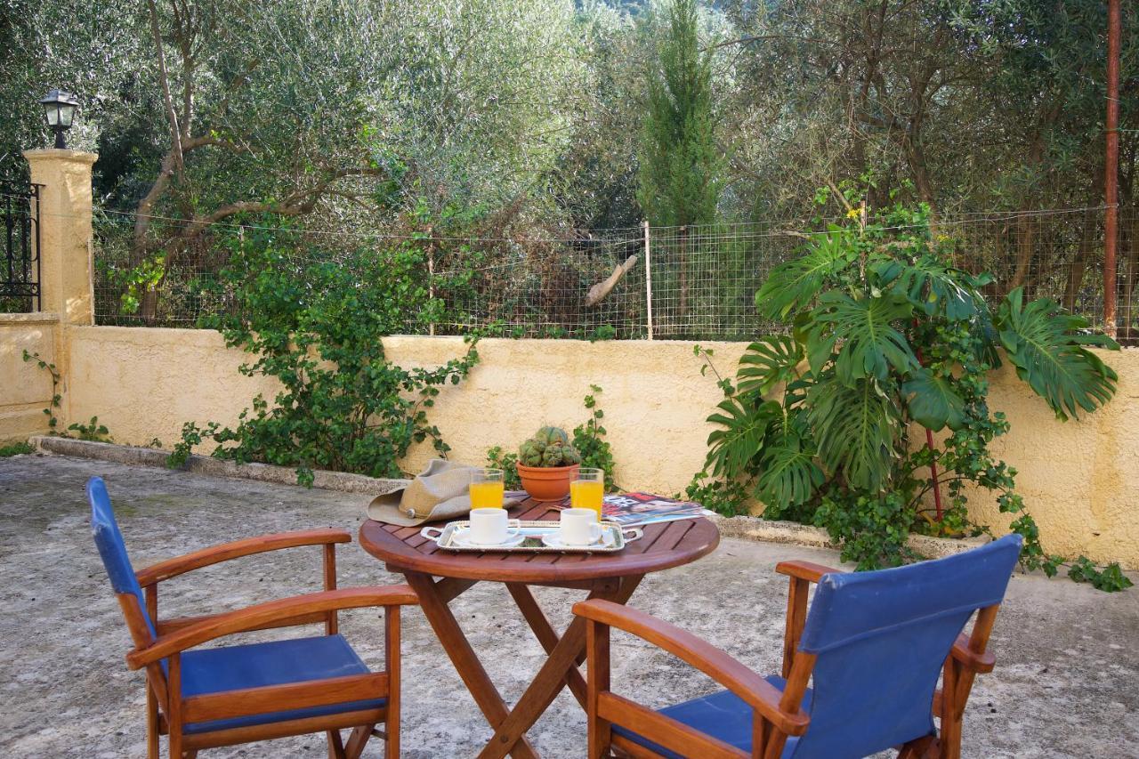 Studio Garden View