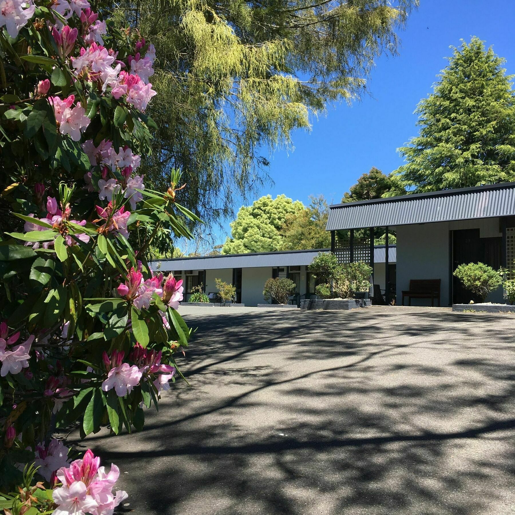 Familiekamer (5 Volwassenen)