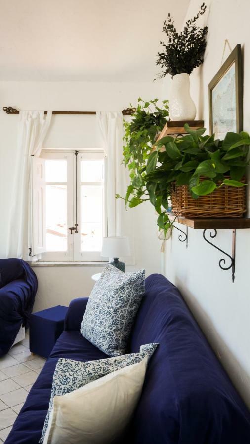 Apartment Terrace