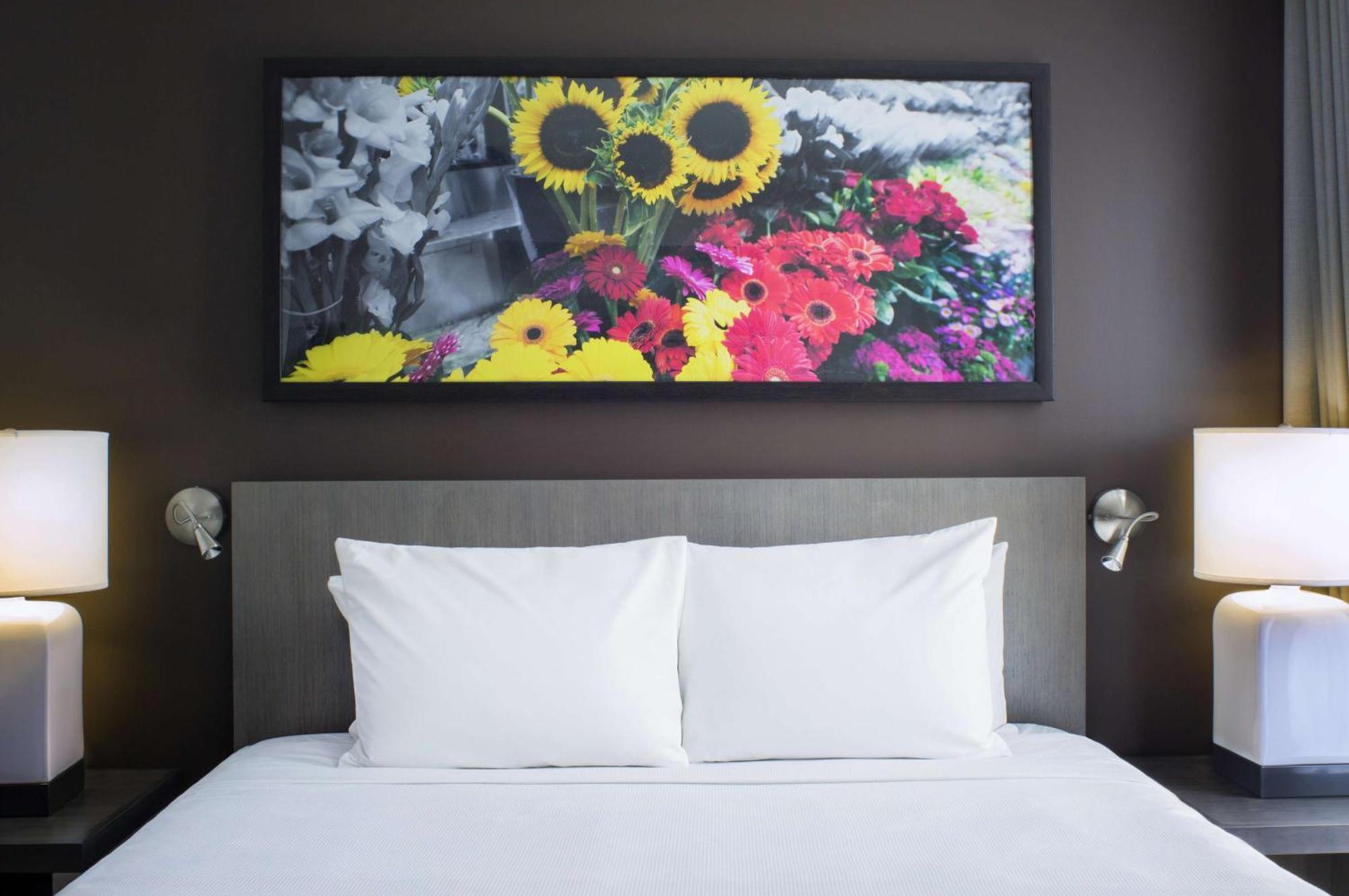 Habitación Den con cama extragrande
