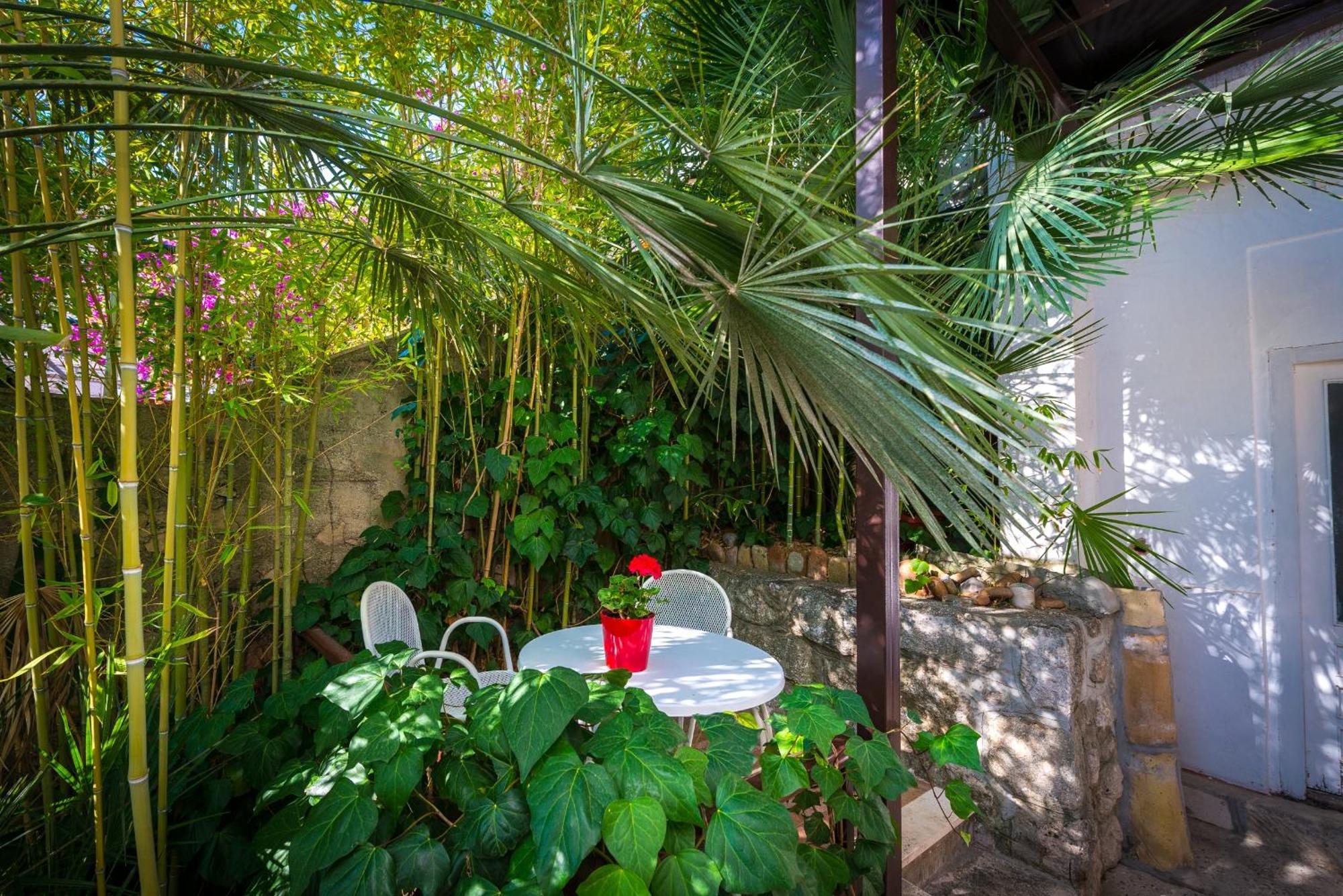 Double Room Terrace Garden View