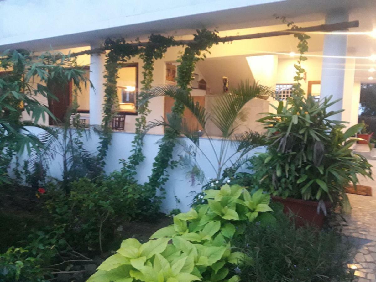 Deluxe Double or Twin Room Garden View
