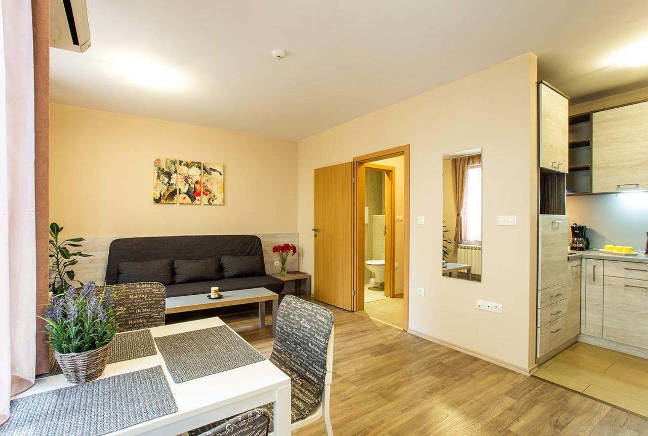 One-Bedroom Apartment Sofa Bed