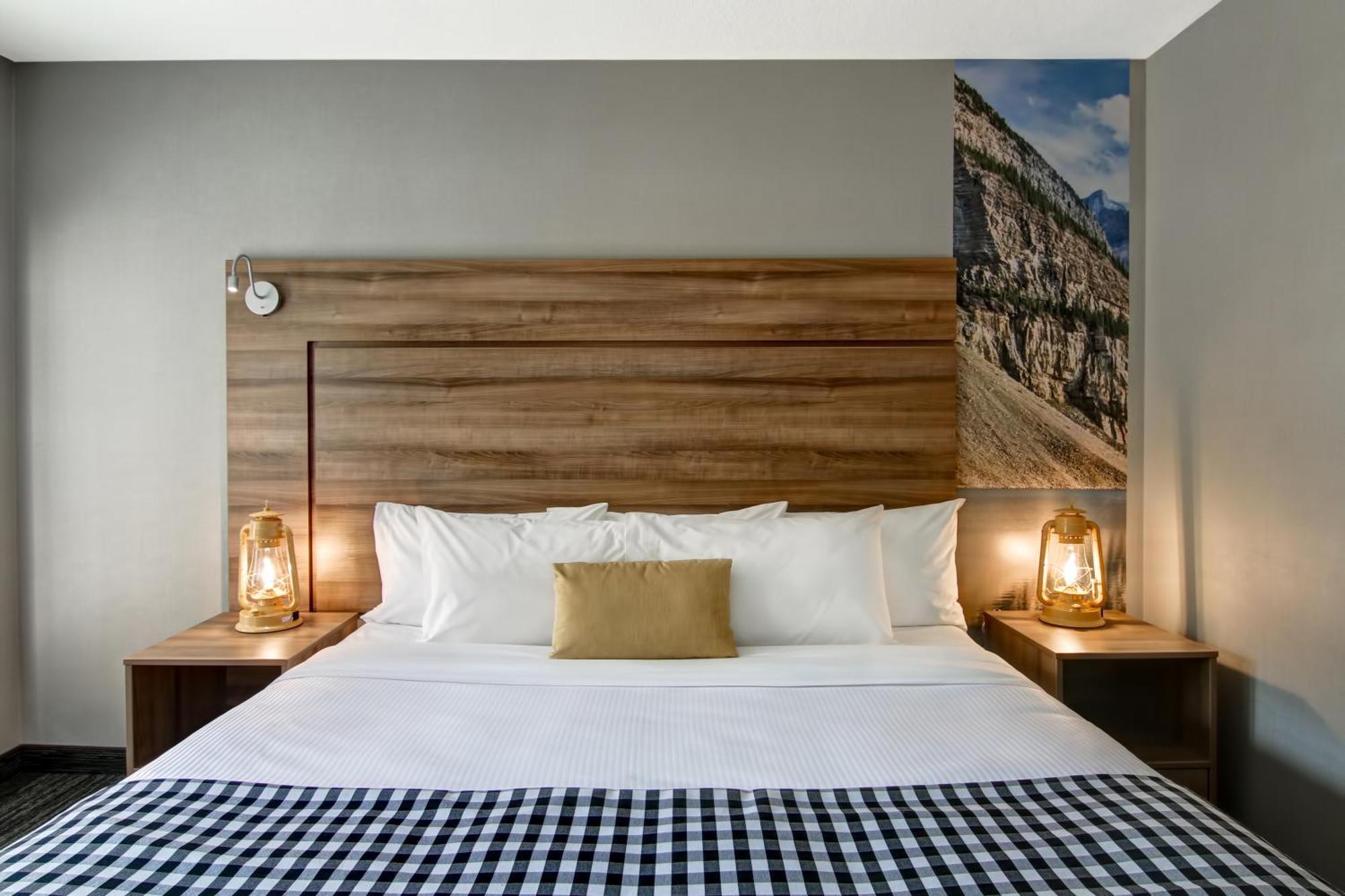 1 King Bed Hide a Bed