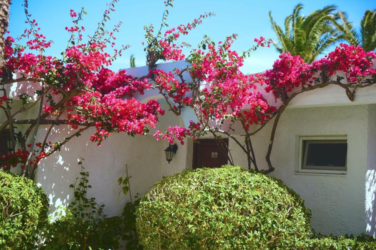 Bungalow - Vue sur Mer