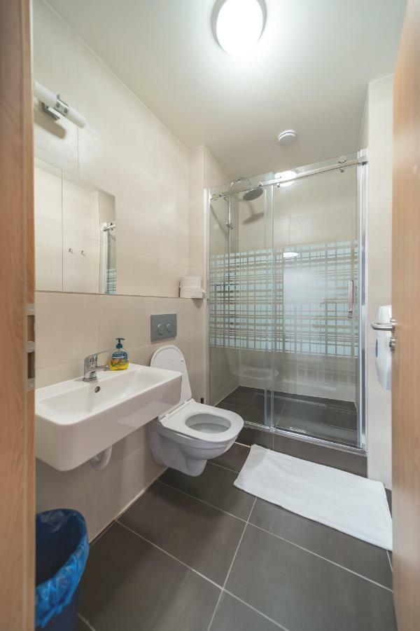 Single Bed 12-Bed Mixed Dormitory Room