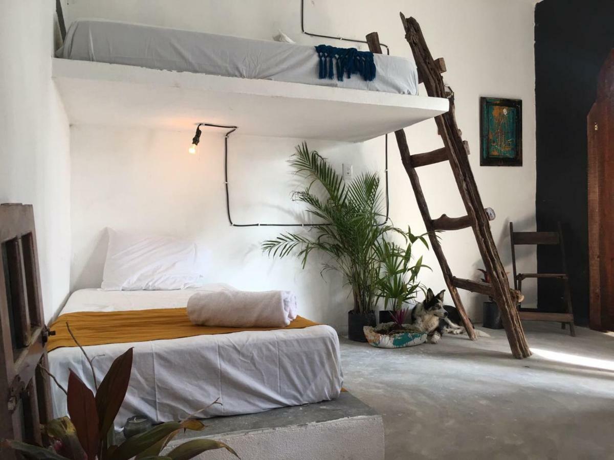 Bett im Frauenschlafsaal mit 6 Betten