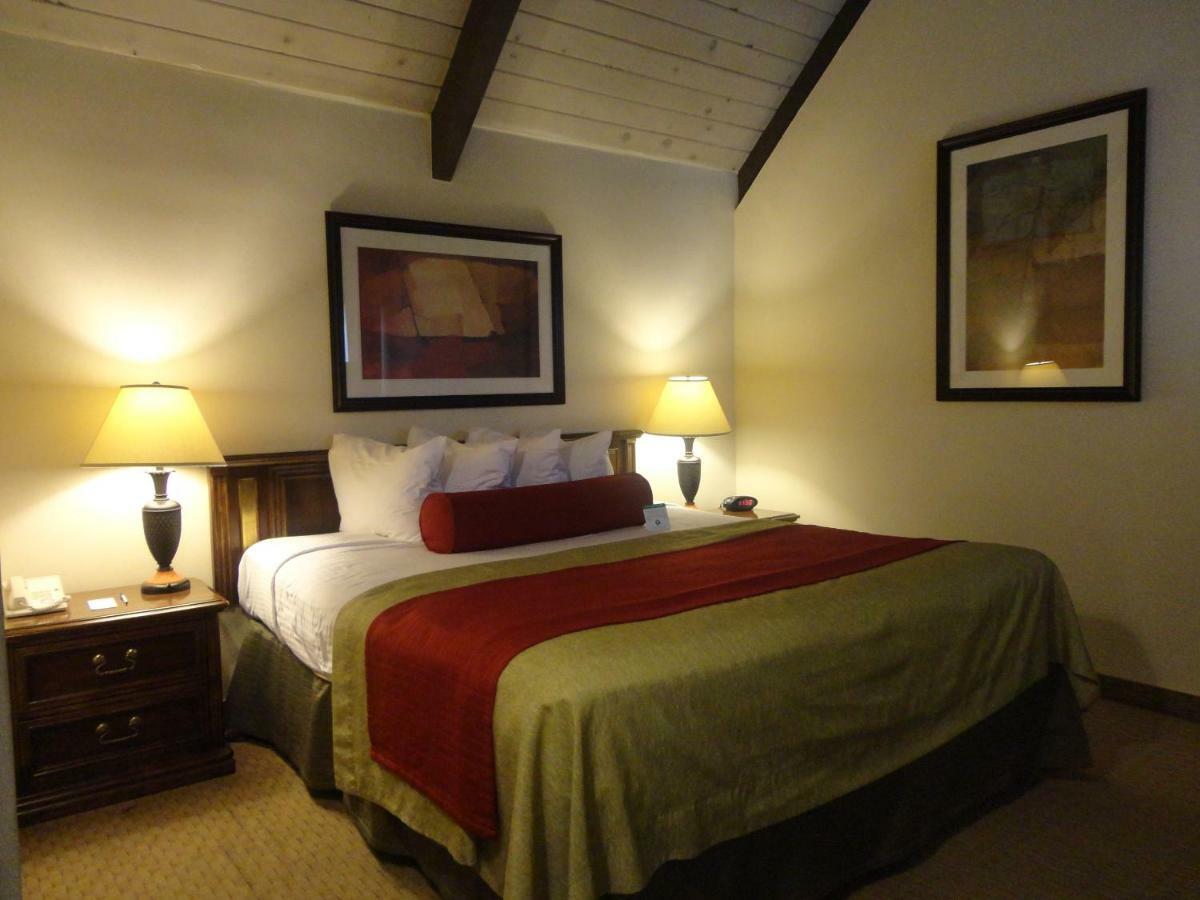 Suite Standard