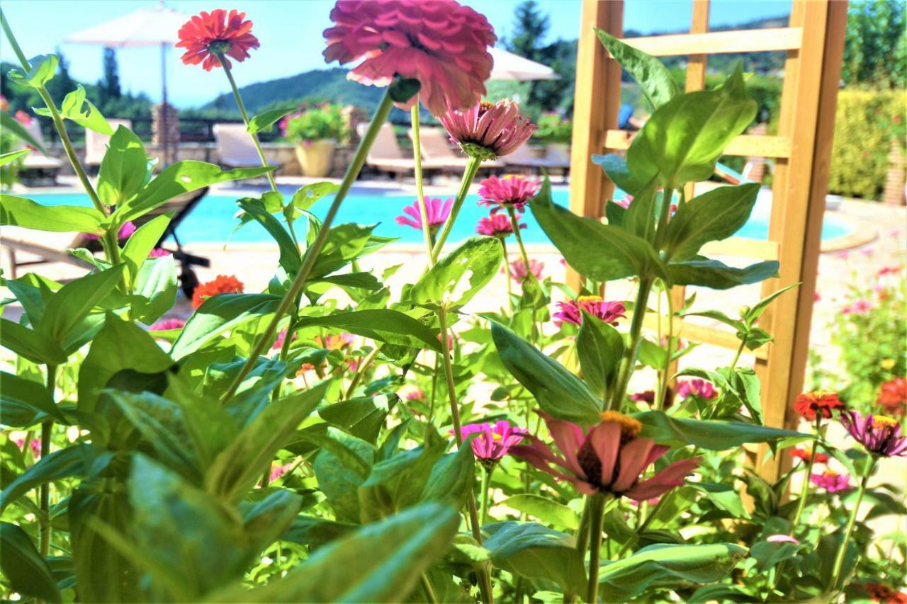 King Suite Sea View
