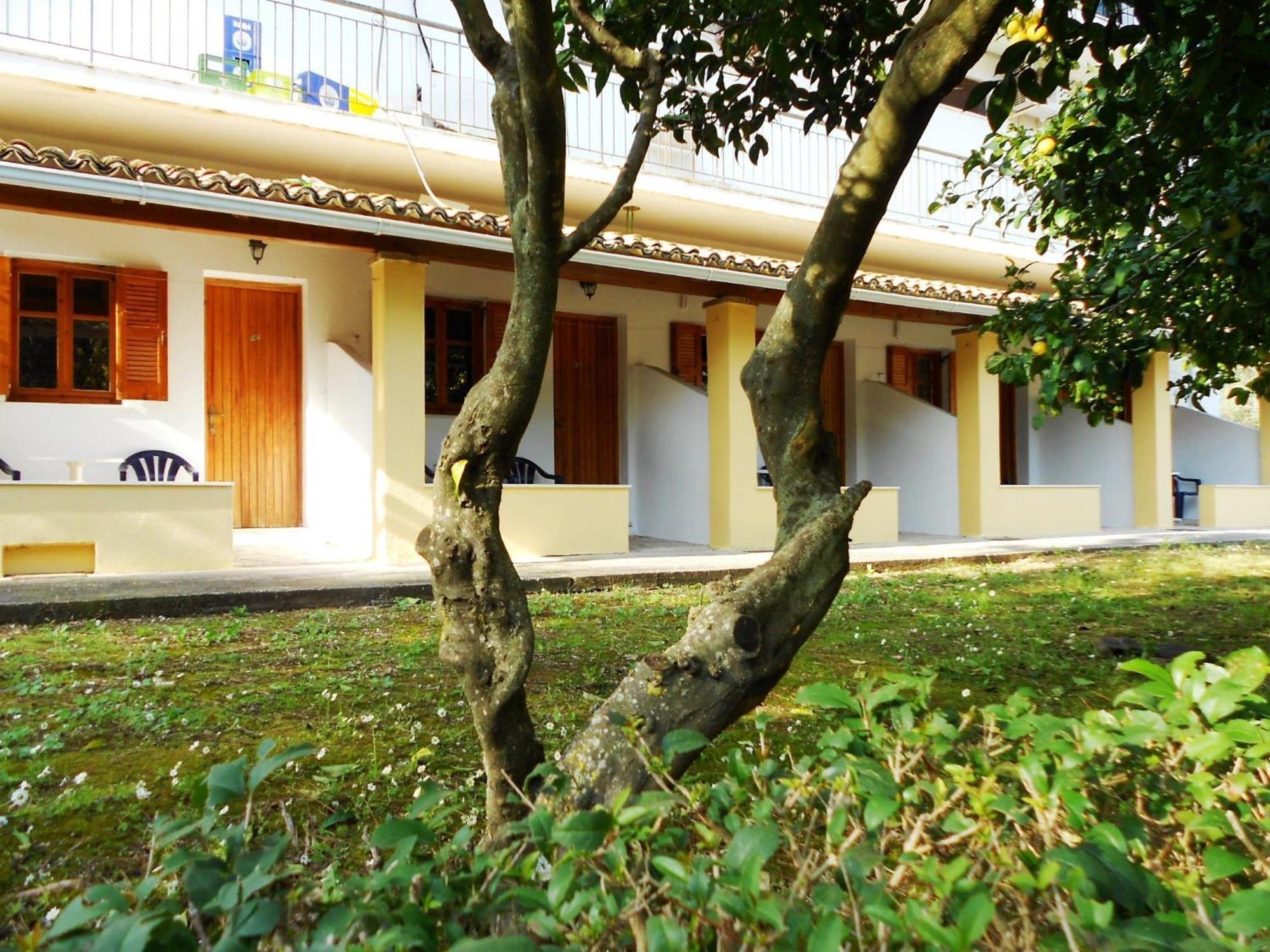 Studio Ground Floor