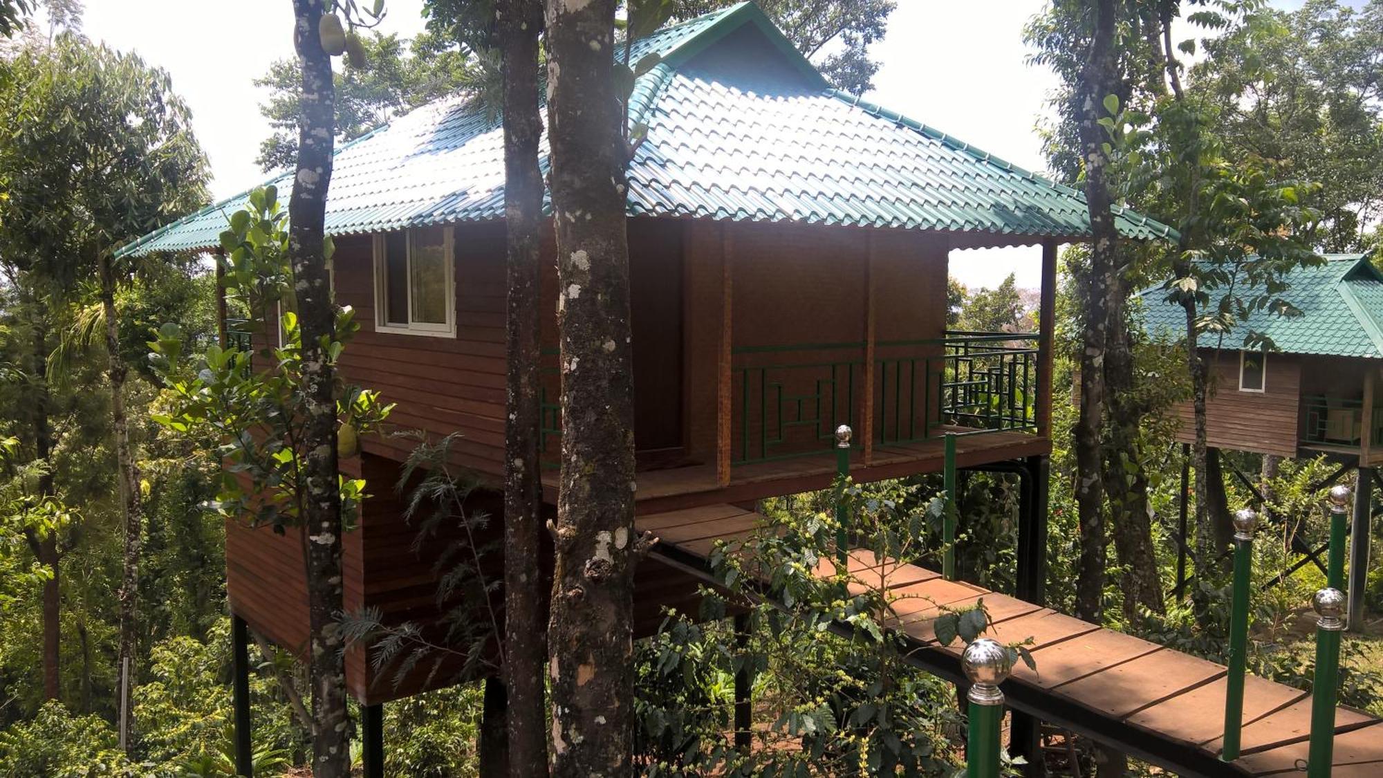 Ayurveda Healing, full board (4 nights min) at Forest Bathing Duplex Cottage