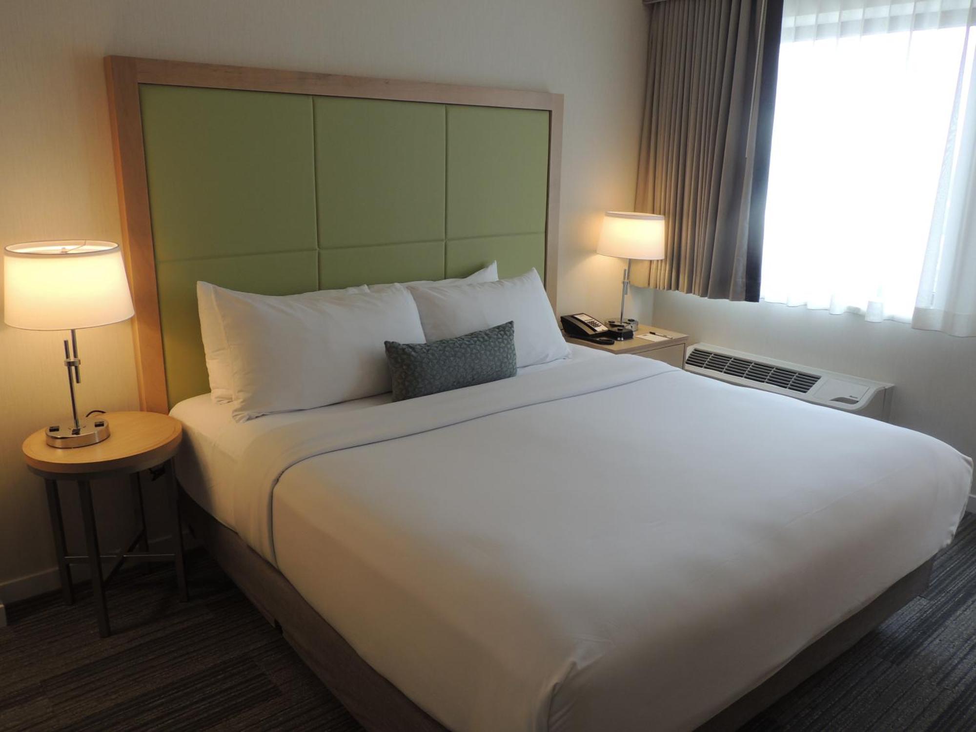 ADA Queen or King Room with Roll-in Shower,835512143:JPEG