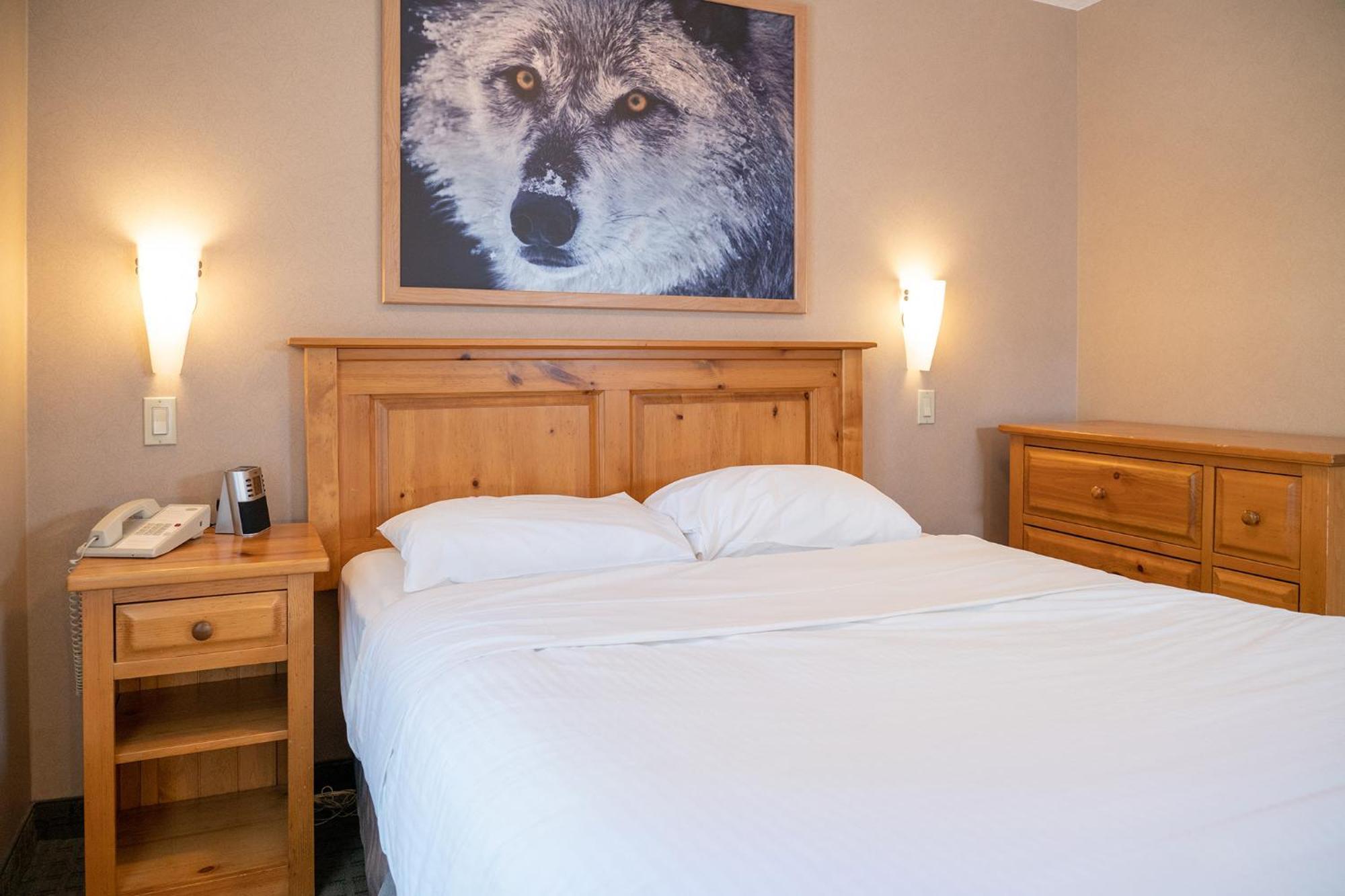 Loft Suite,1220701936:JPEG