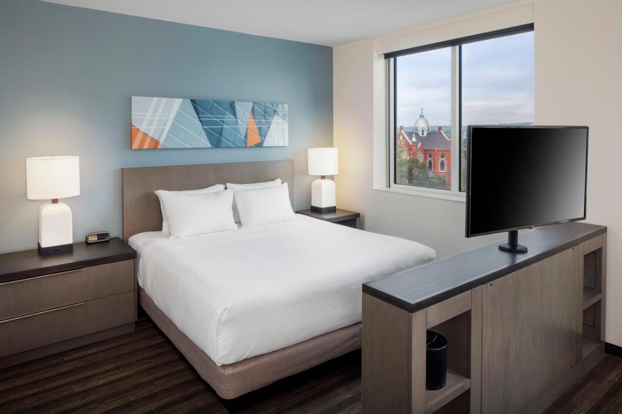 Suite Estudio con cocina y sofá cama - Cama extragrande