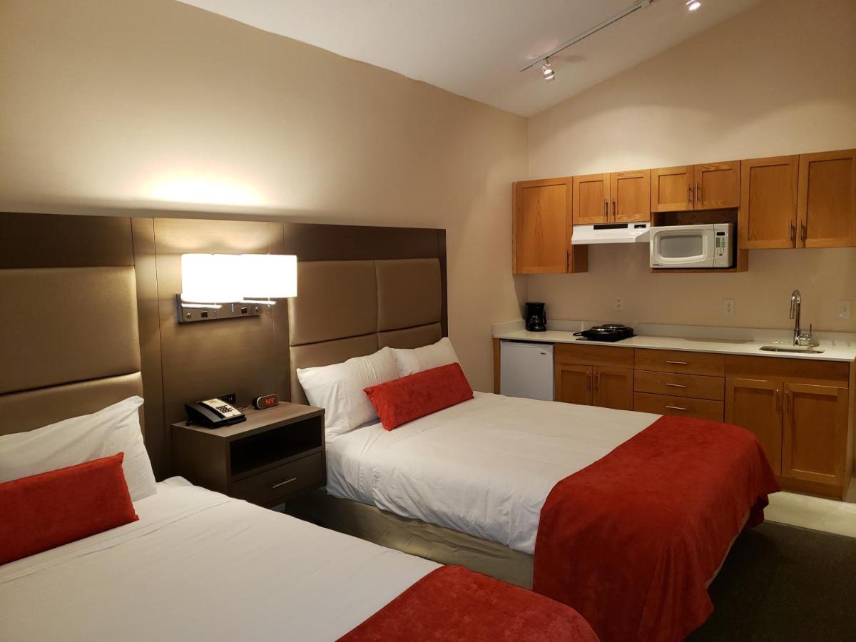 Studio met Queensize Bed