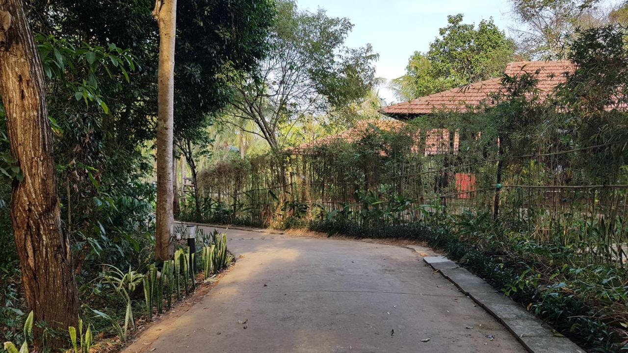 Superior Bungalow Garden View
