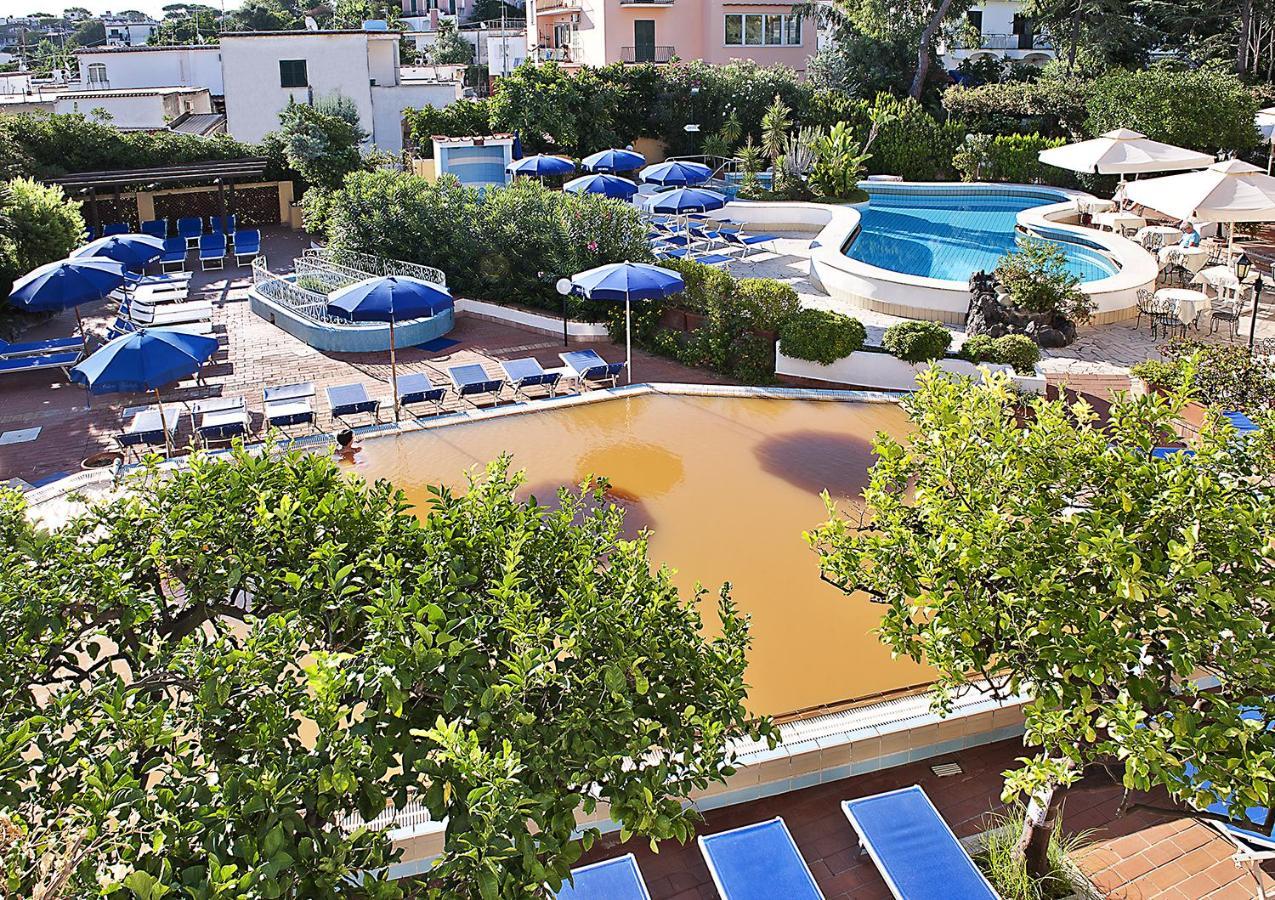 Chambre Simple - Vue sur Piscine