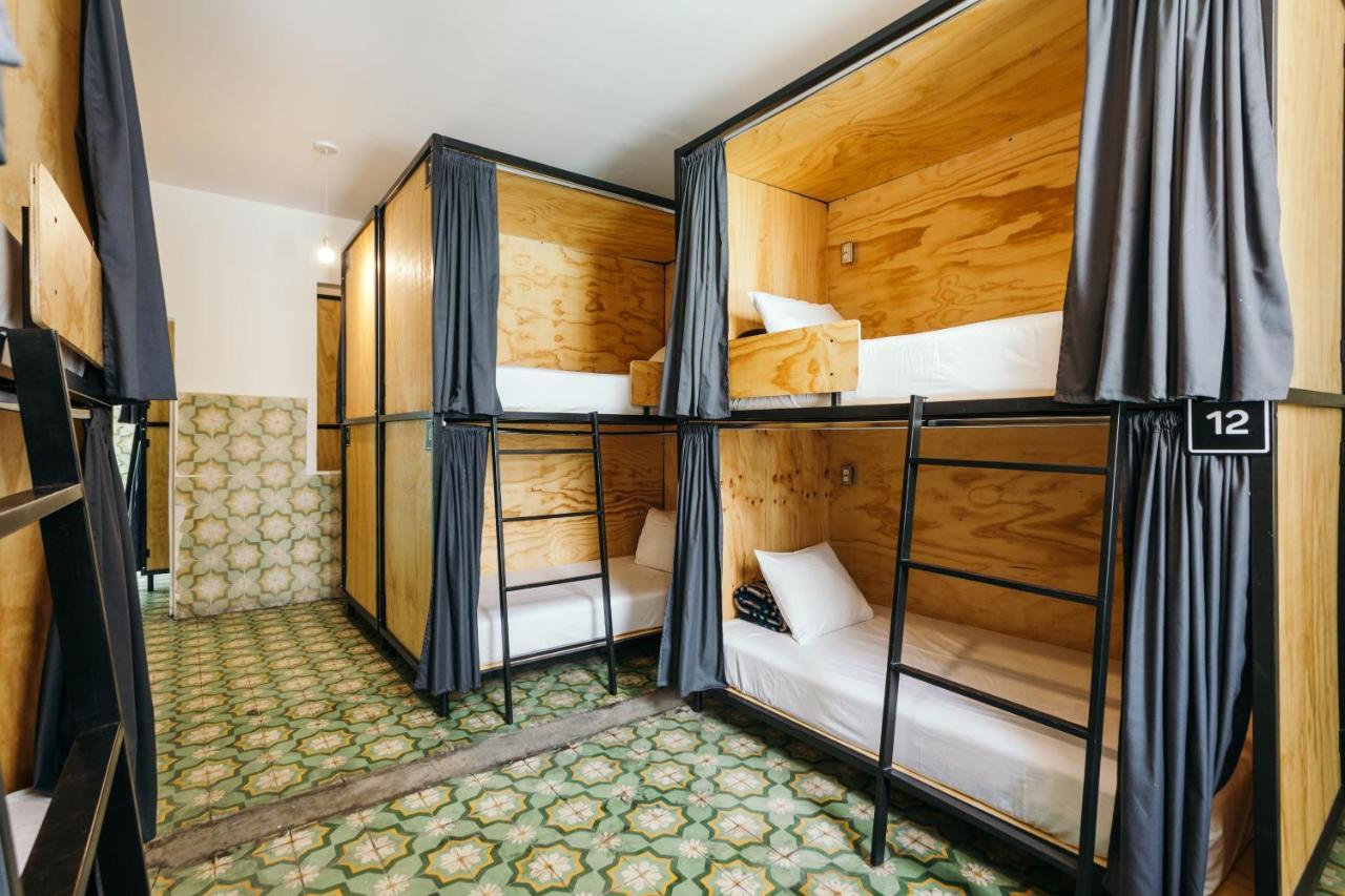 Bunk Bed Mixed Dormitory Room