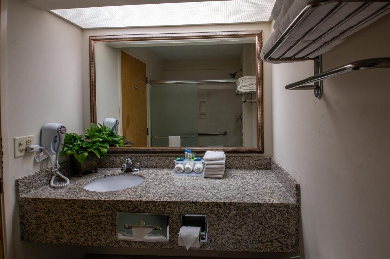 King Room Transfer Shower Sofa Bed Mobility Access