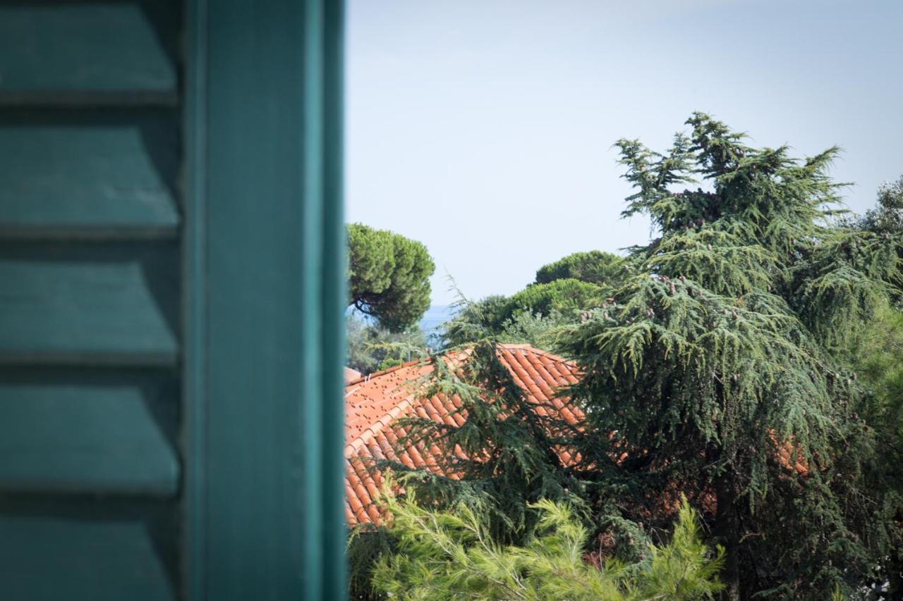 Deluxe Double Room Terrace