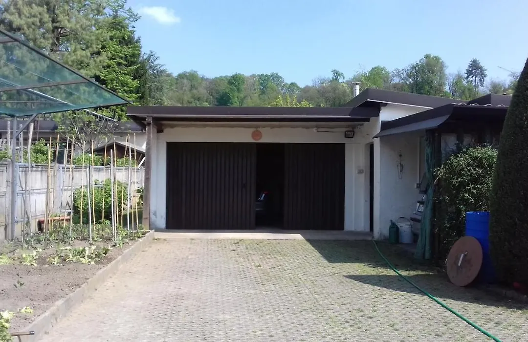 B&B Lori-1
