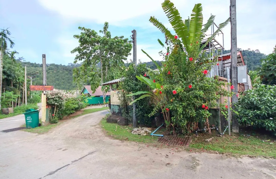 Oyo 75312 Banana Lodge-1