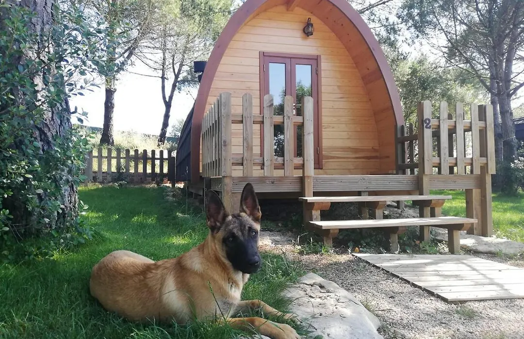 Glamping Sintra-1