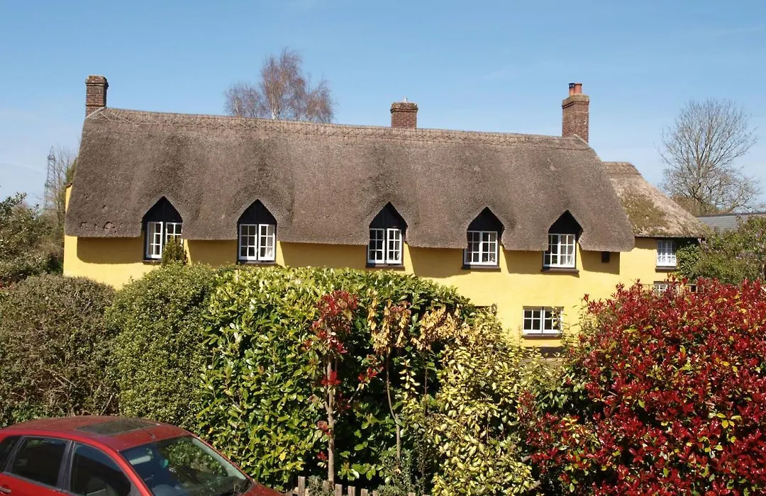 Red Lion-1
