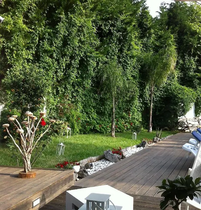 Lemon Tree Hotel-1