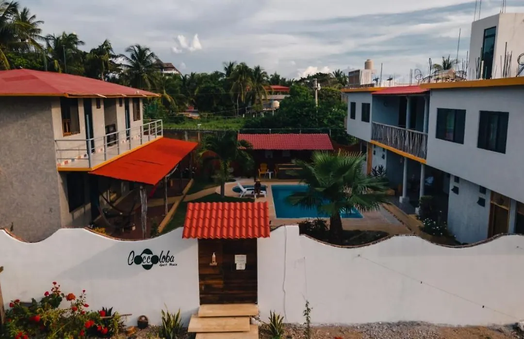 Coccoloba Guest House-1