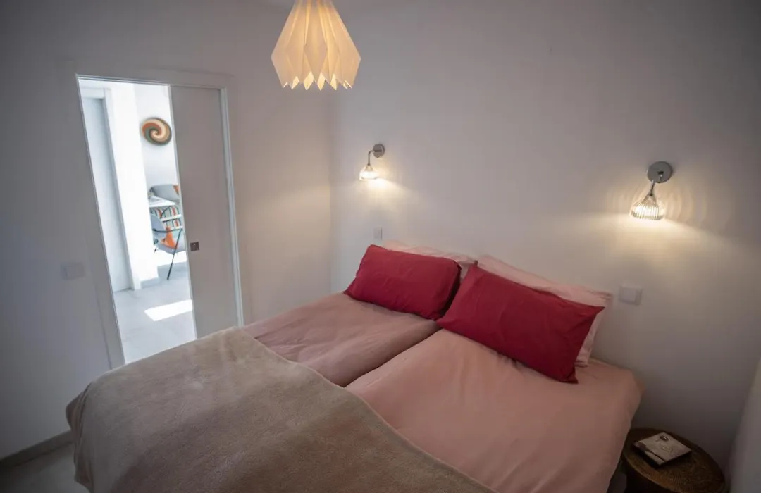 Gato Preto De Silves - Adults Only-1