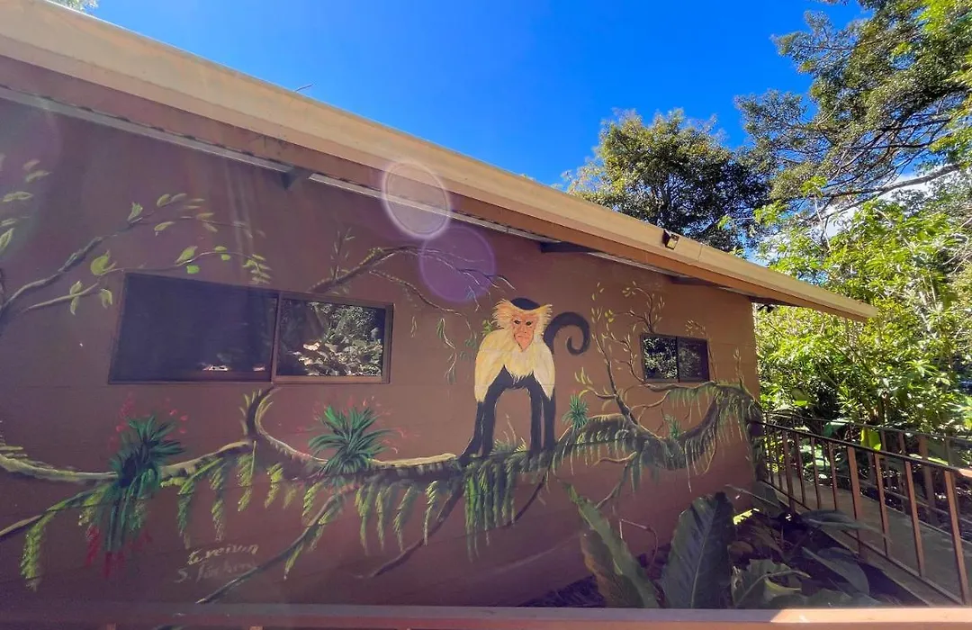 La Casa de la Montaña-1