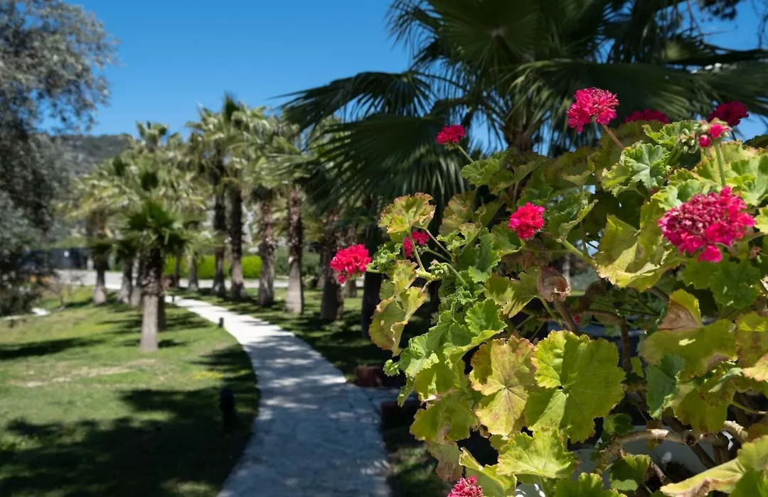 X Life Hotel Sarigerme 15 - Adult Hotel-1