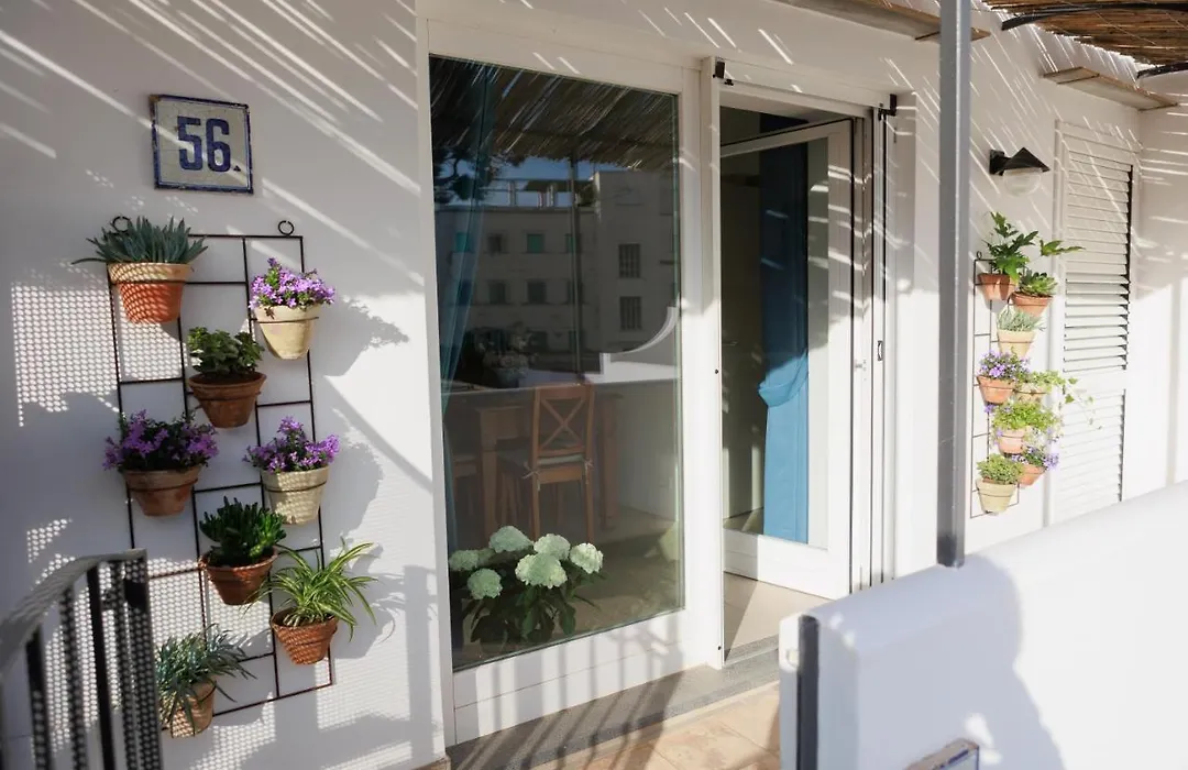 La Pigna Blu-1